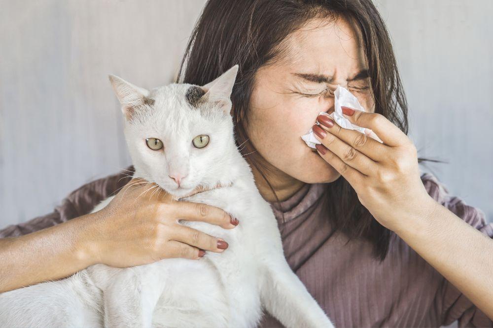 Naisen korva tukossa flunssan vuoksi, kissa sylissä.