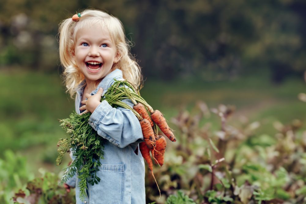 Hymyilevä lapsi kantaa multaisia porkkanoita.